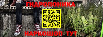 винт Можга