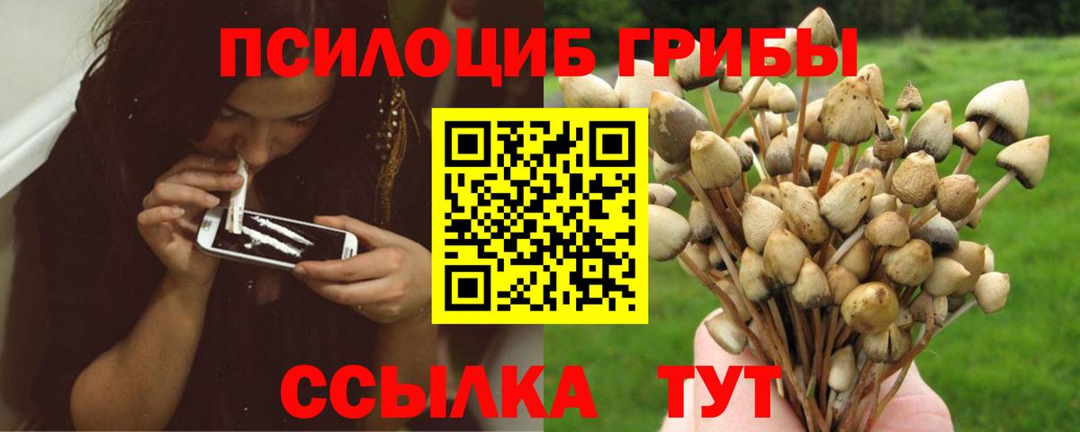 Псилоцибиновые грибы прущие грибы Прохладный