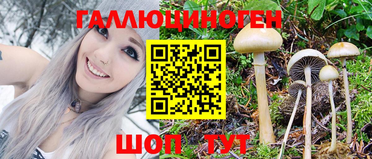 Прохладный  Галлюциногенные грибы Magic Shrooms  Вход с VPN 
