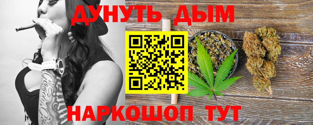 Бошки Шишки гибрид Прохладный